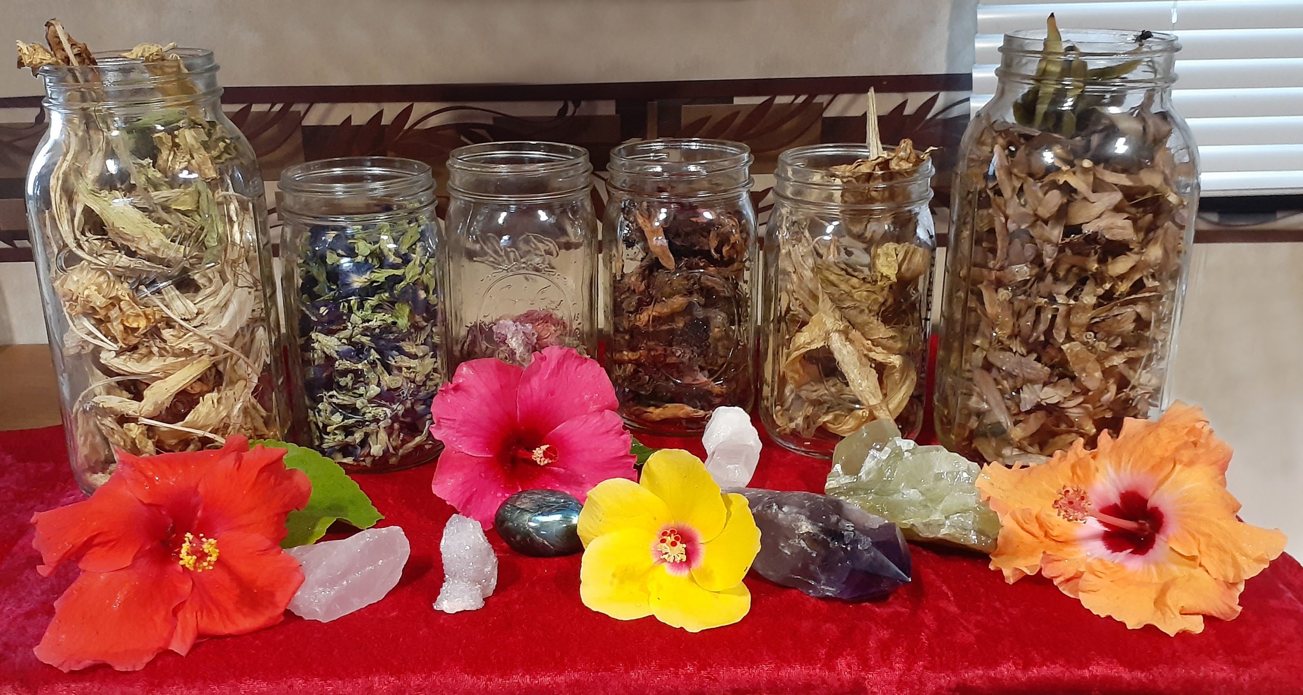Dried Flowers