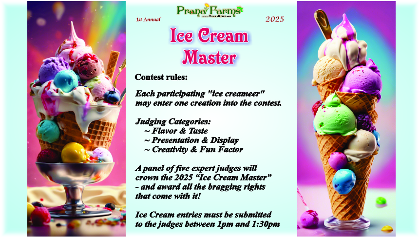 Ice Cream Contest Rules